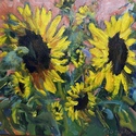 Sunset Sunflowers